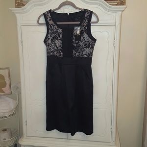 NWT Max and Cleo Black & Lace Dress Size 6